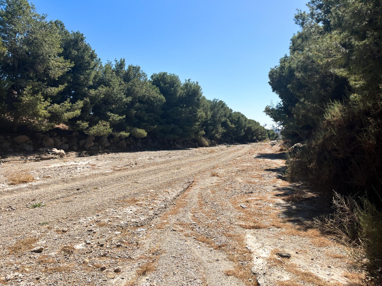 Location 00003