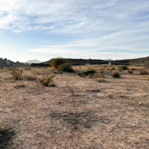 Location 00008