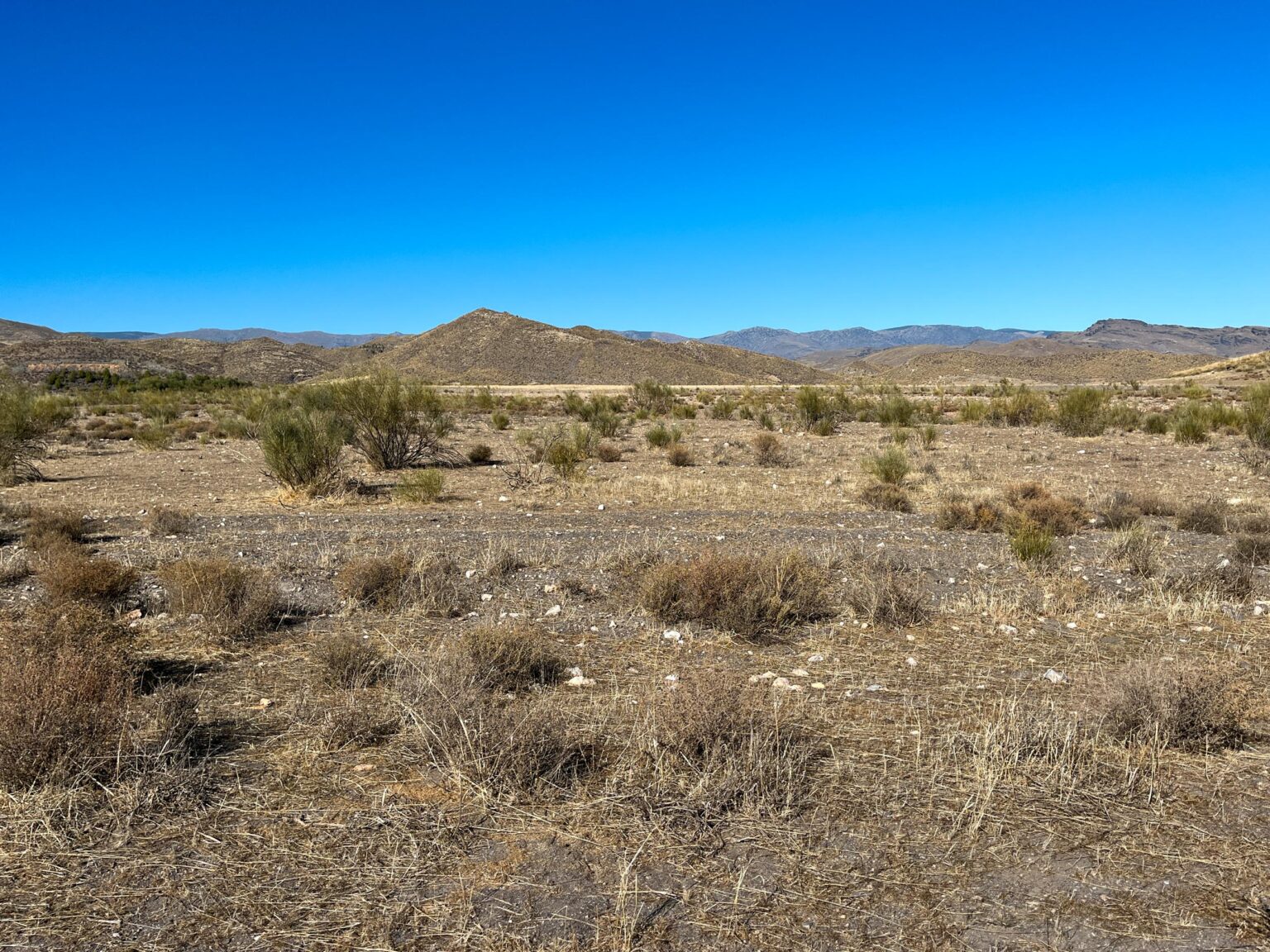 Location 00020
