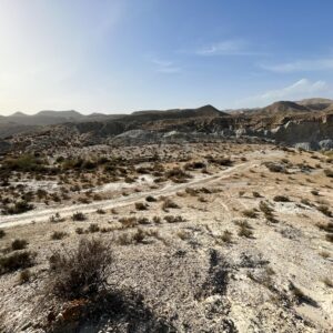 Location 00023