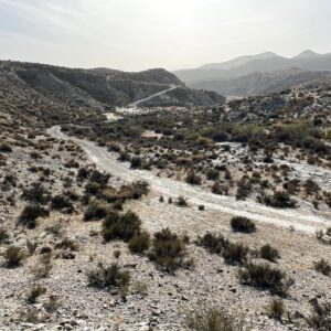Location 00023