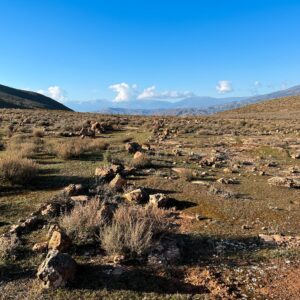 Location 00026