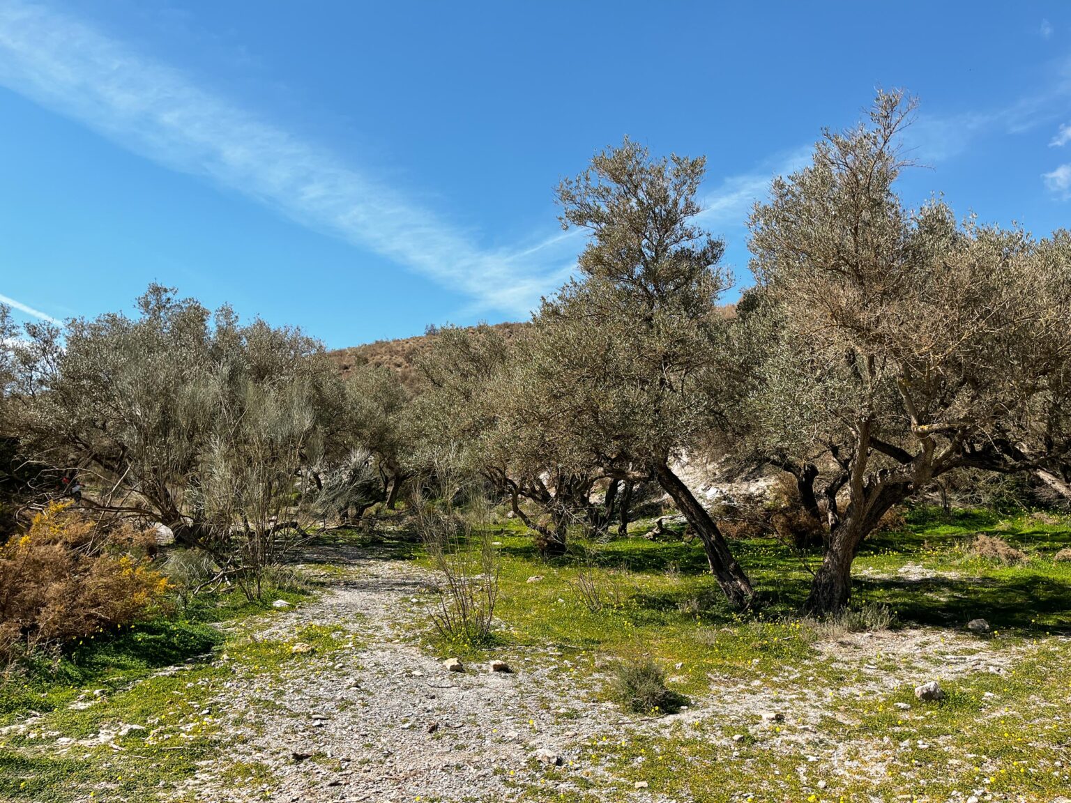 Location 00027