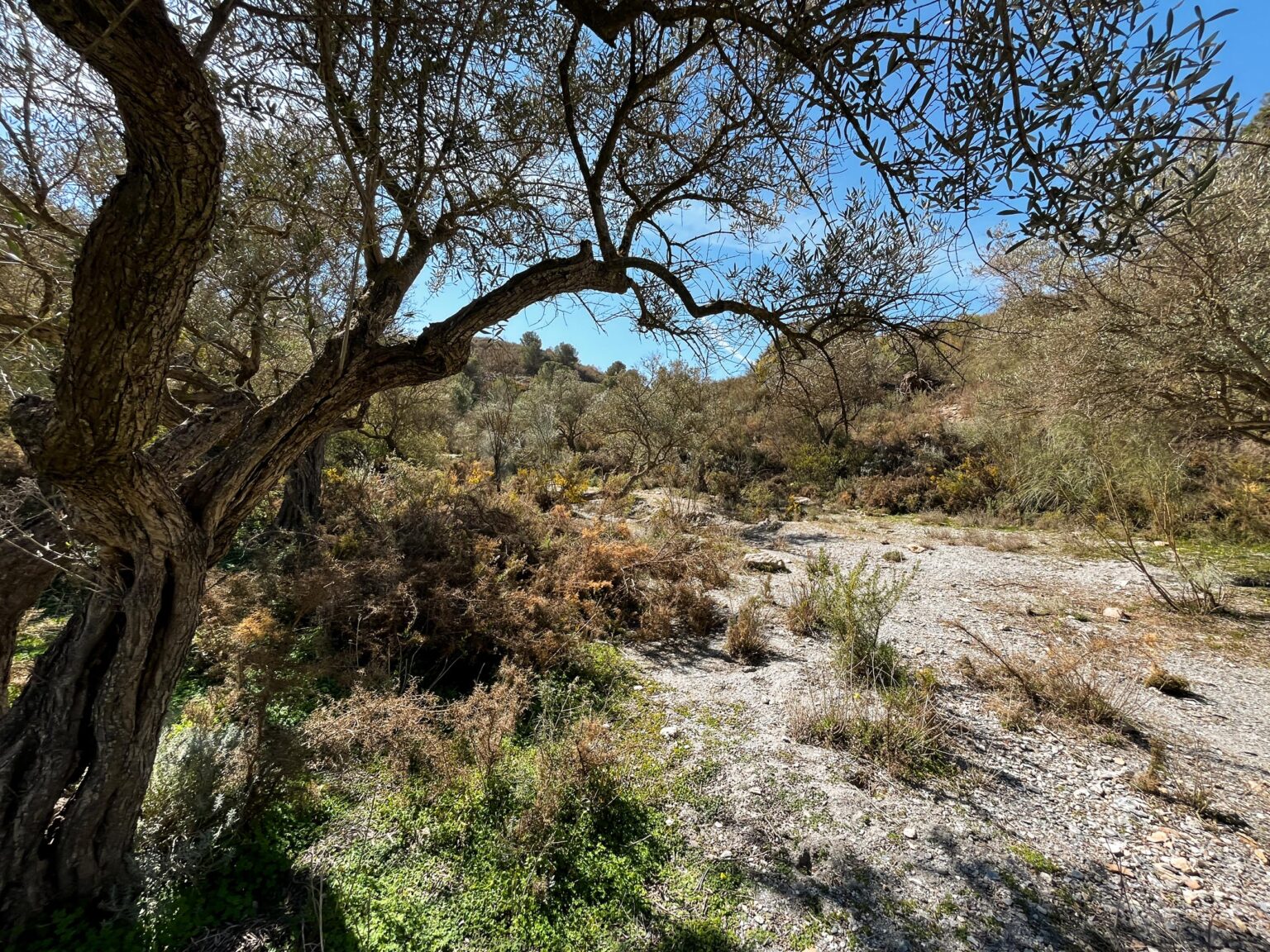 Location 00027