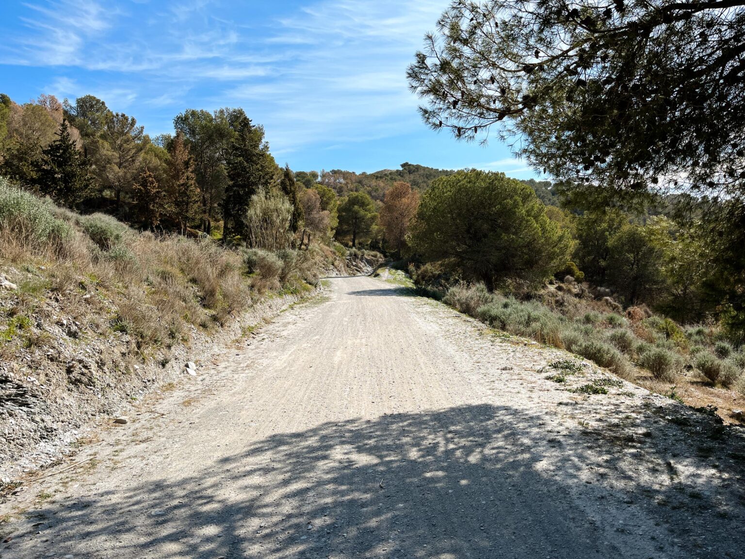 Location 00028