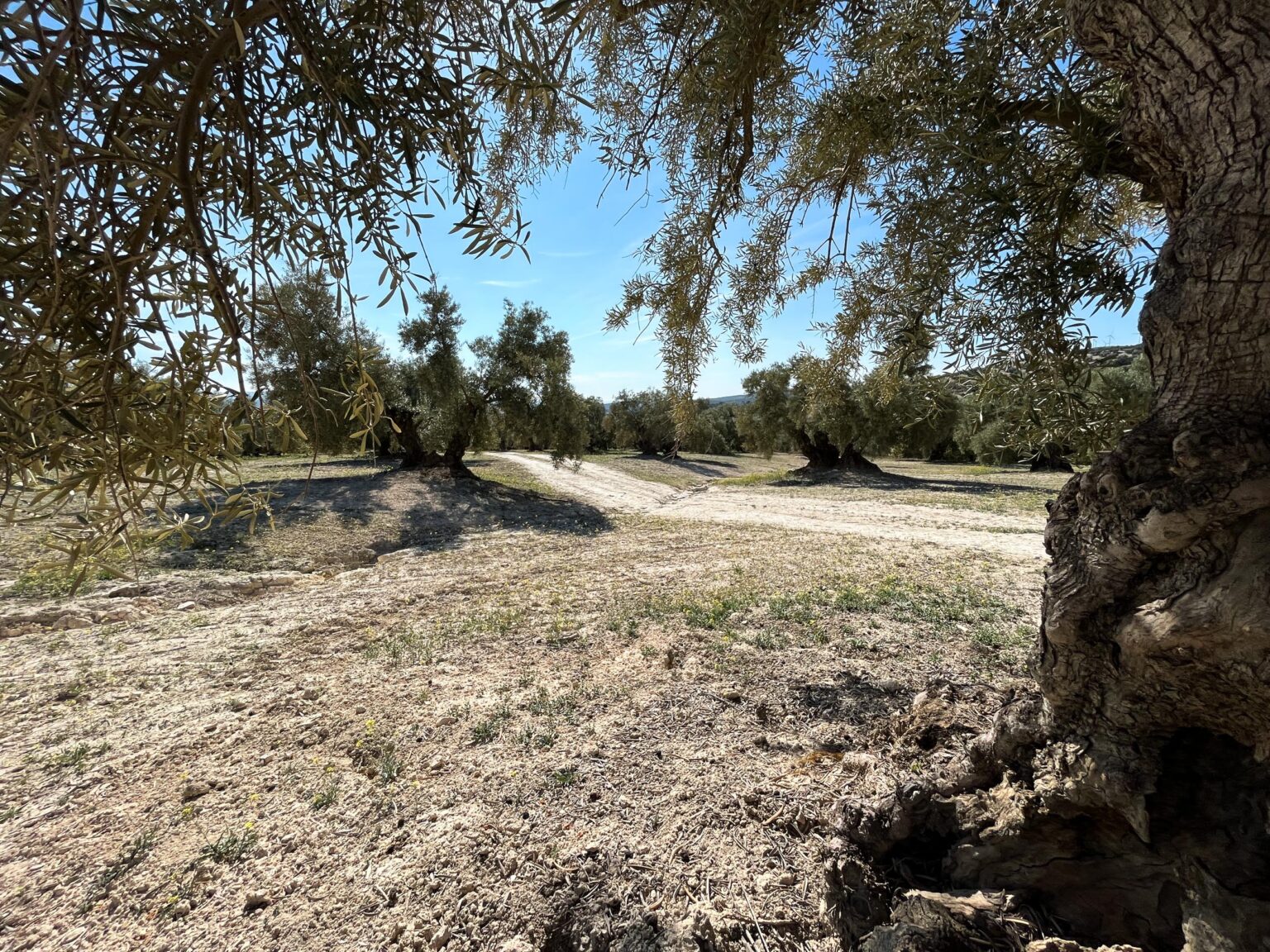 Location 00036