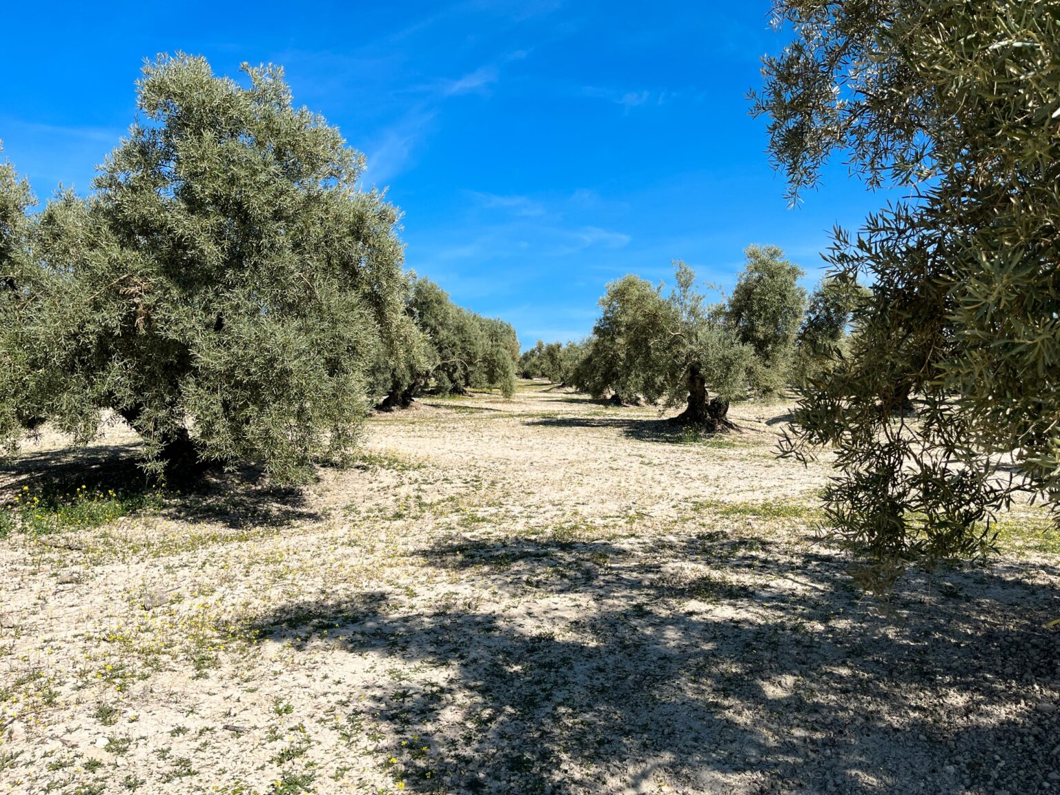 Location 00036