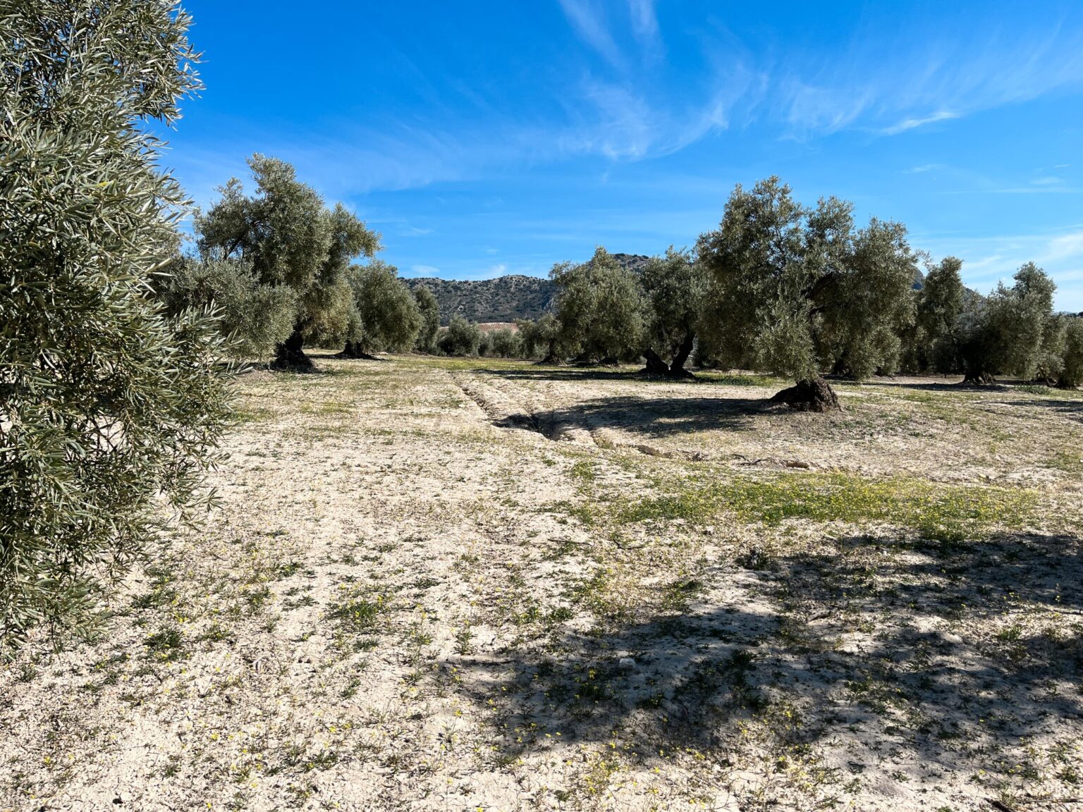 Location 00036