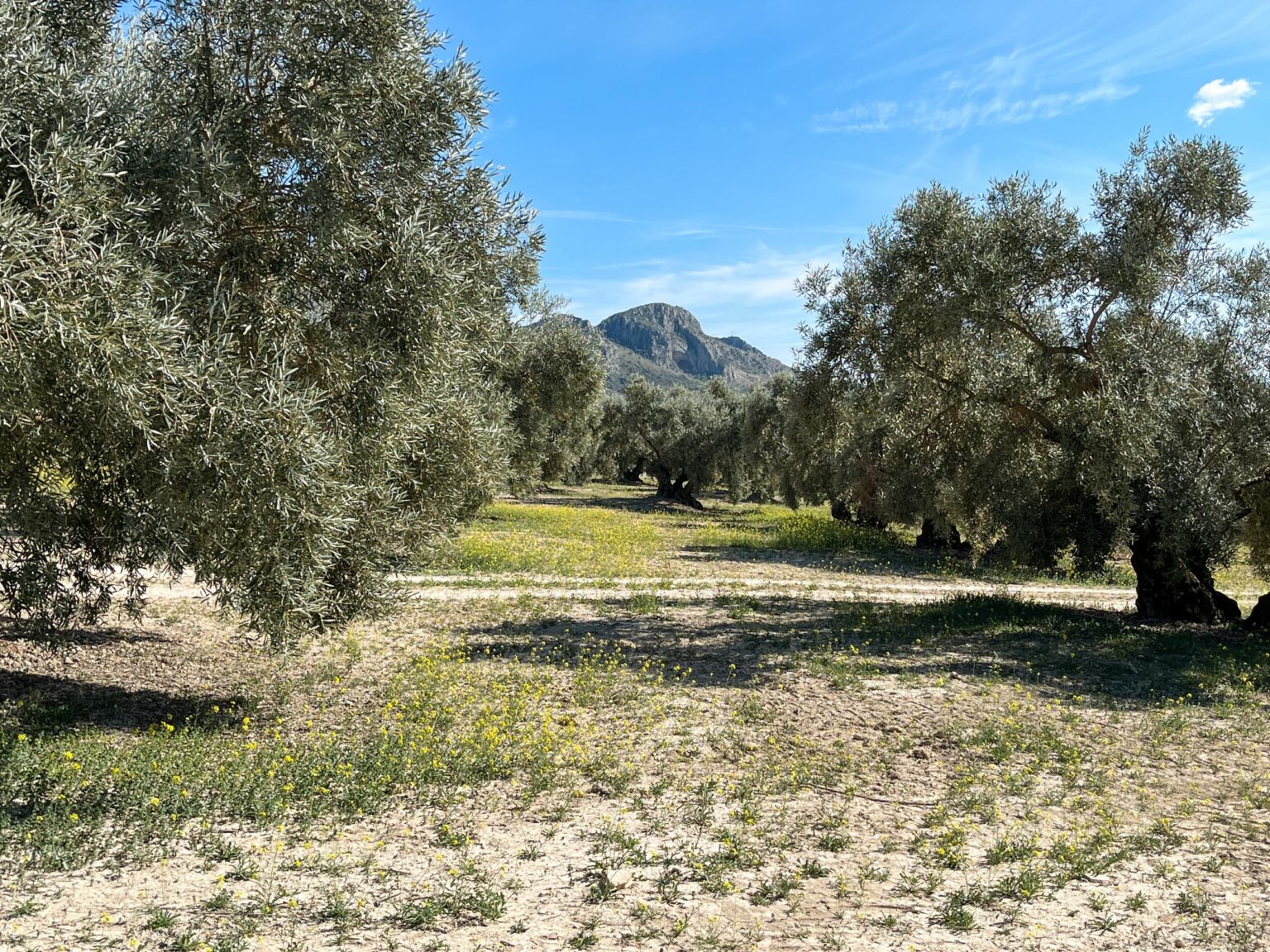 Location 00036