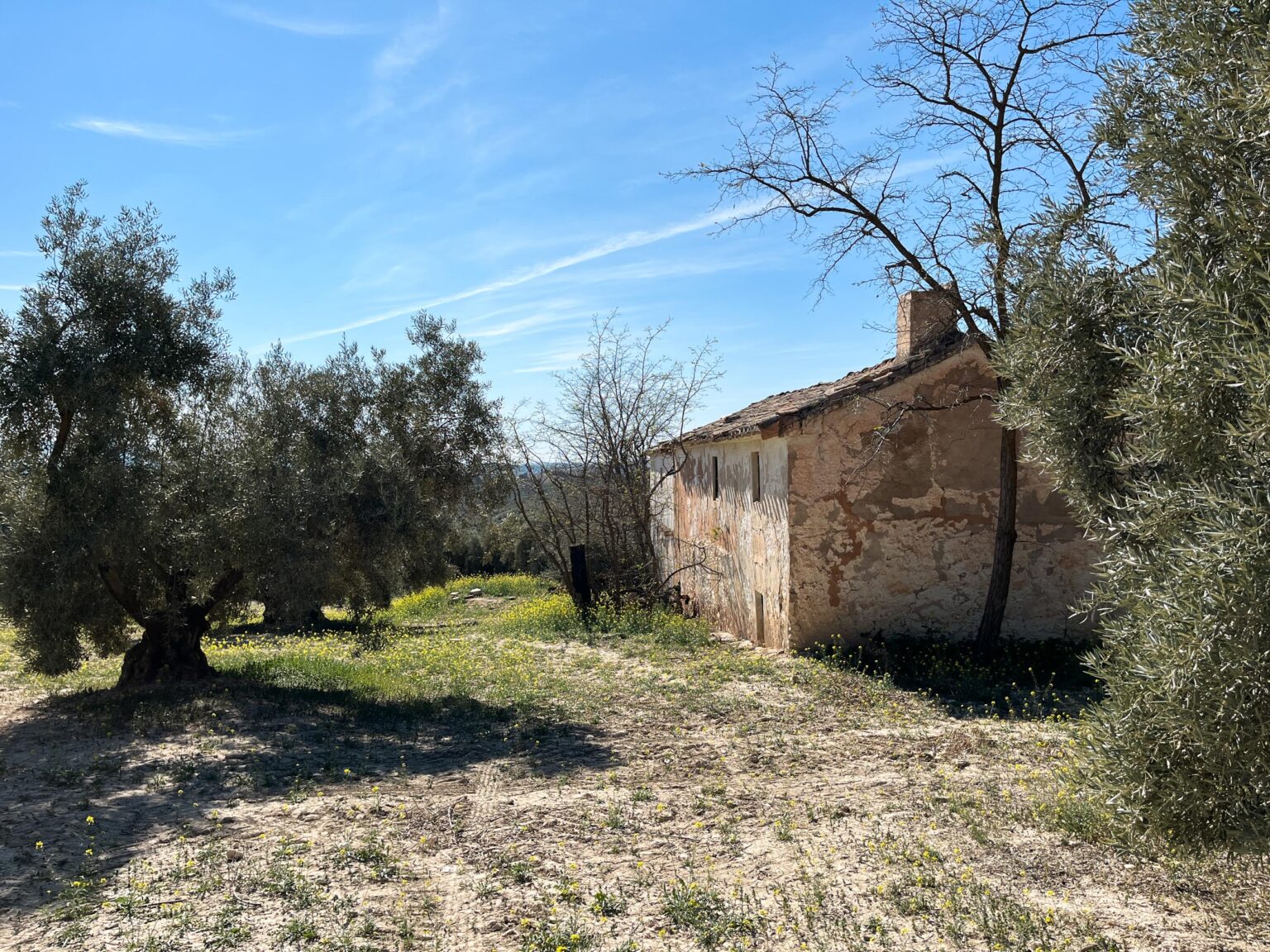 Location 00036
