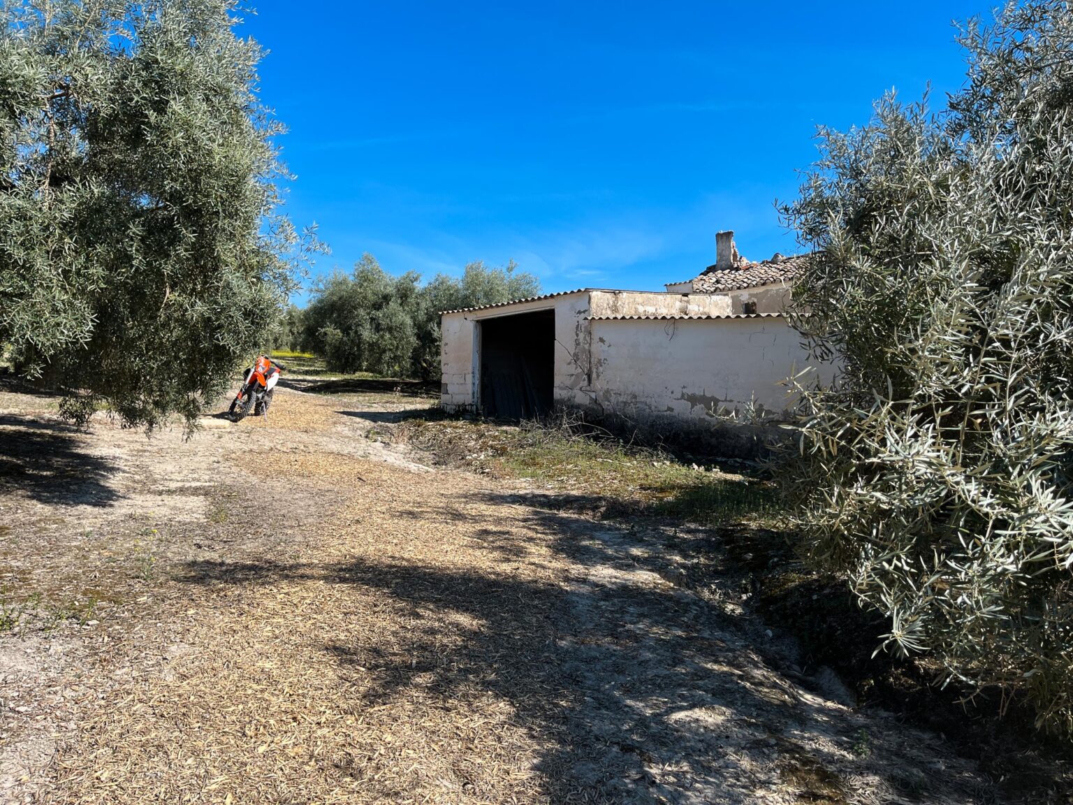 Location 00036
