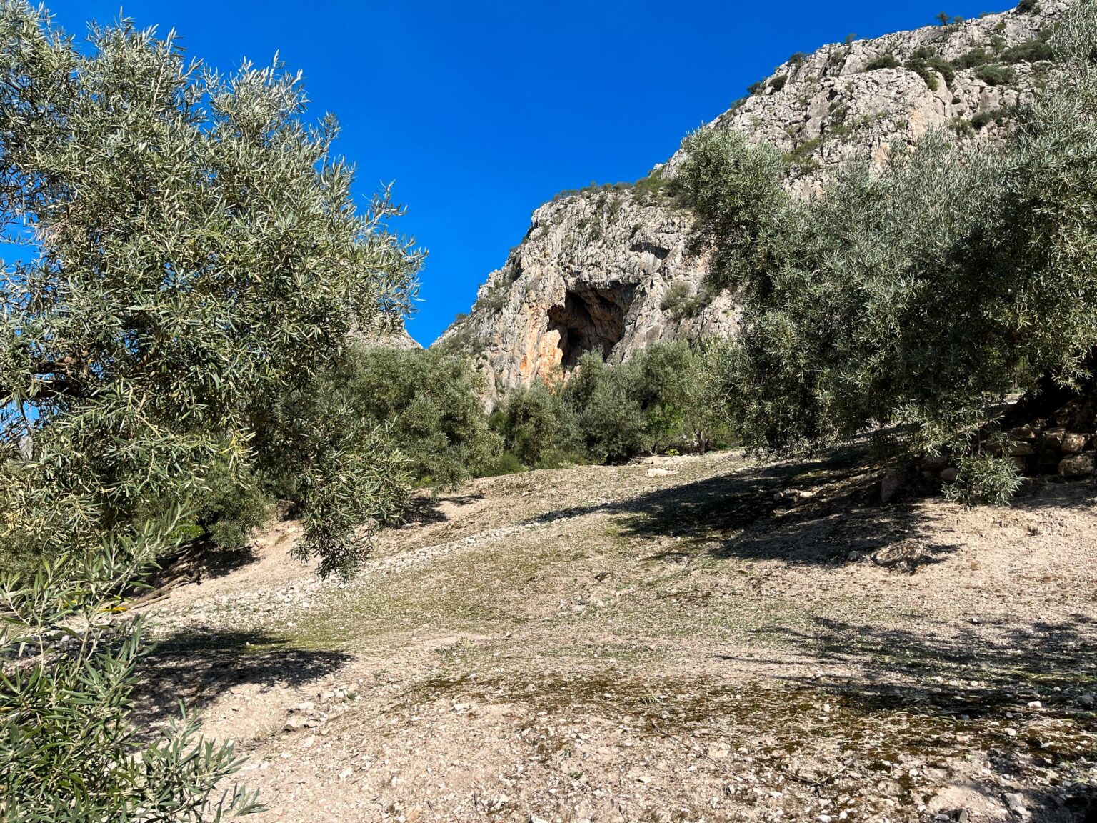 Location 00037
