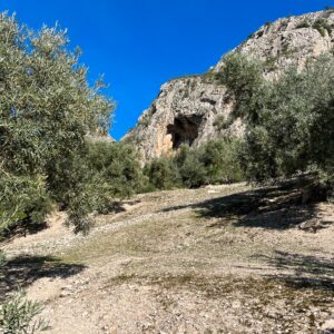 Location 00037