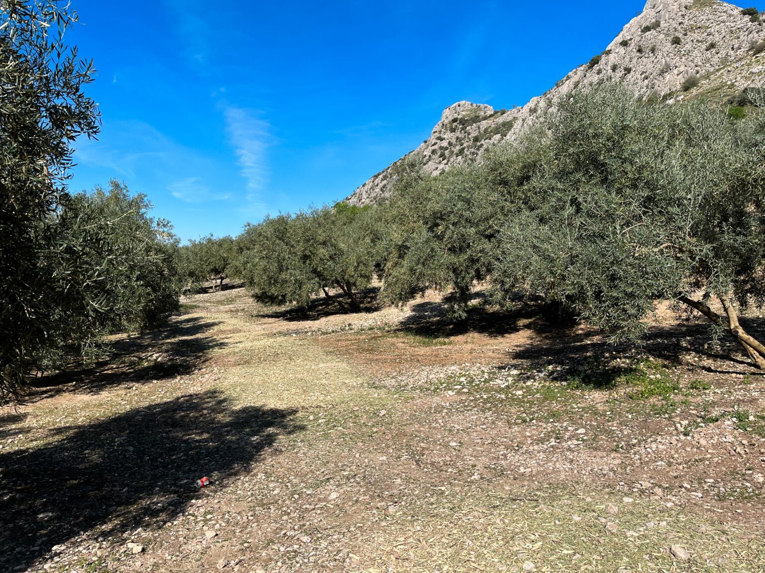 Location 00037