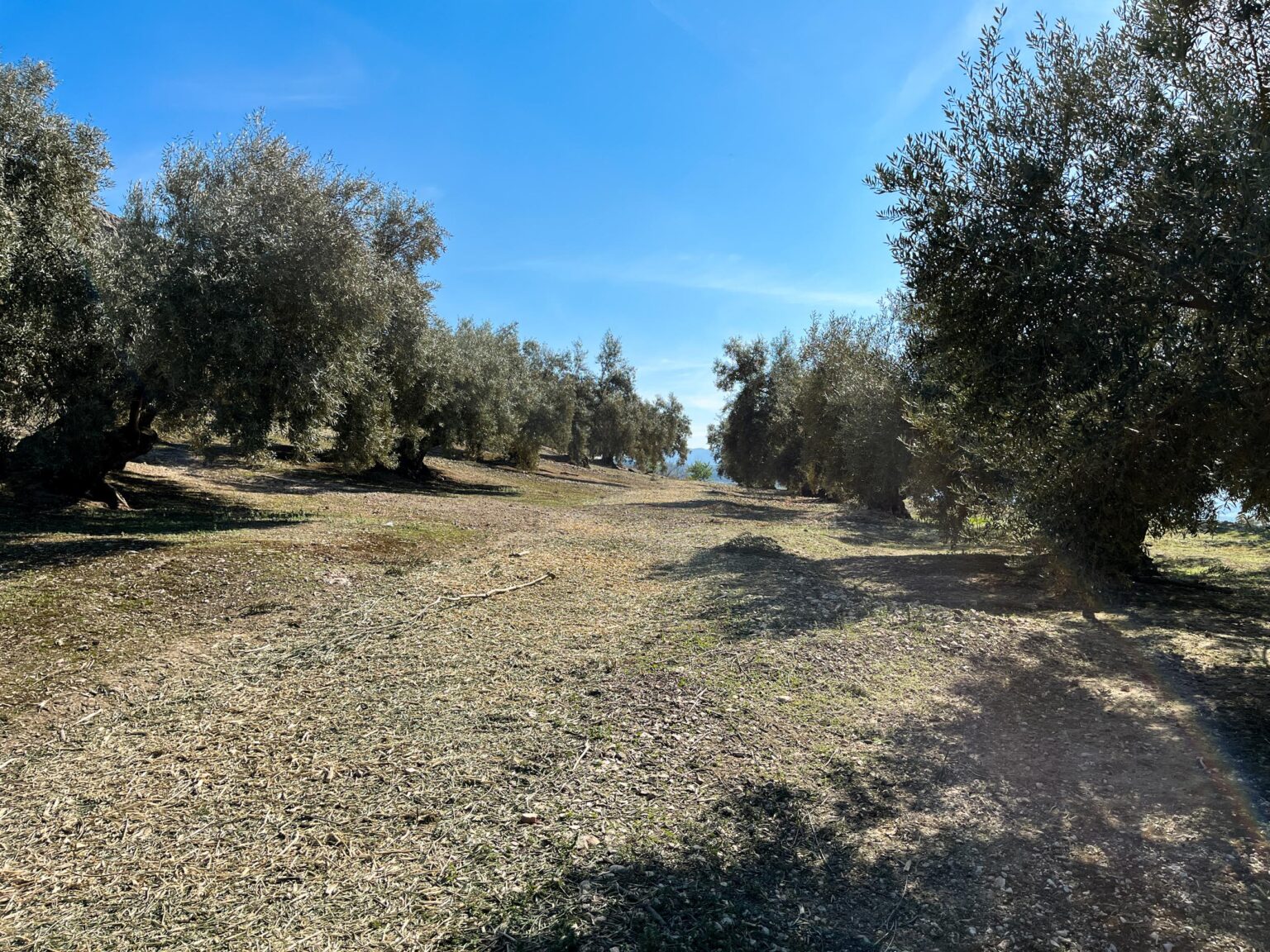 Location 00037