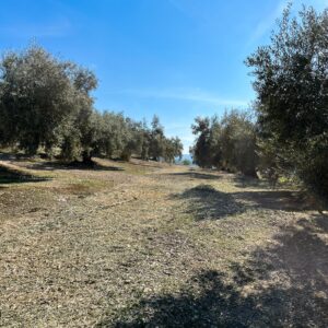 Location 00037