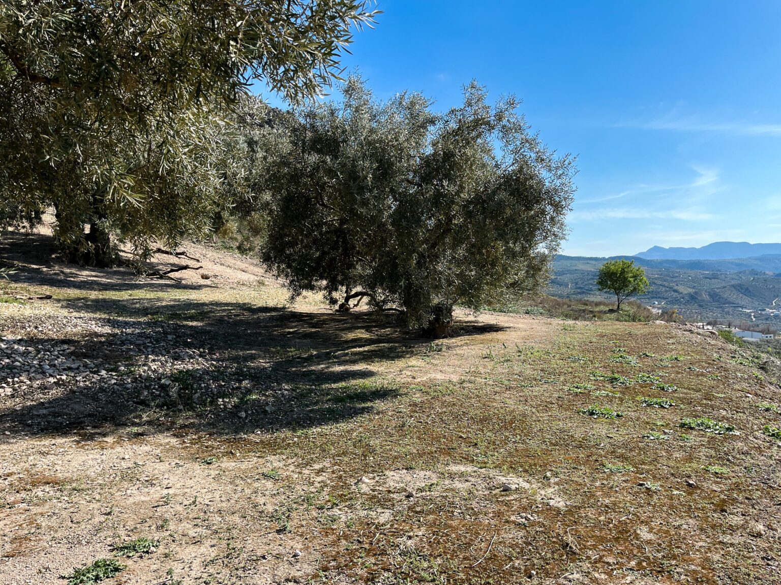 Location 00037