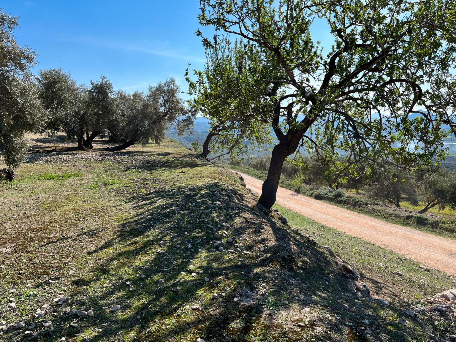 Location 00037