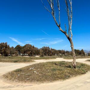 Location 00040