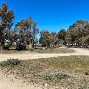 Location 00040