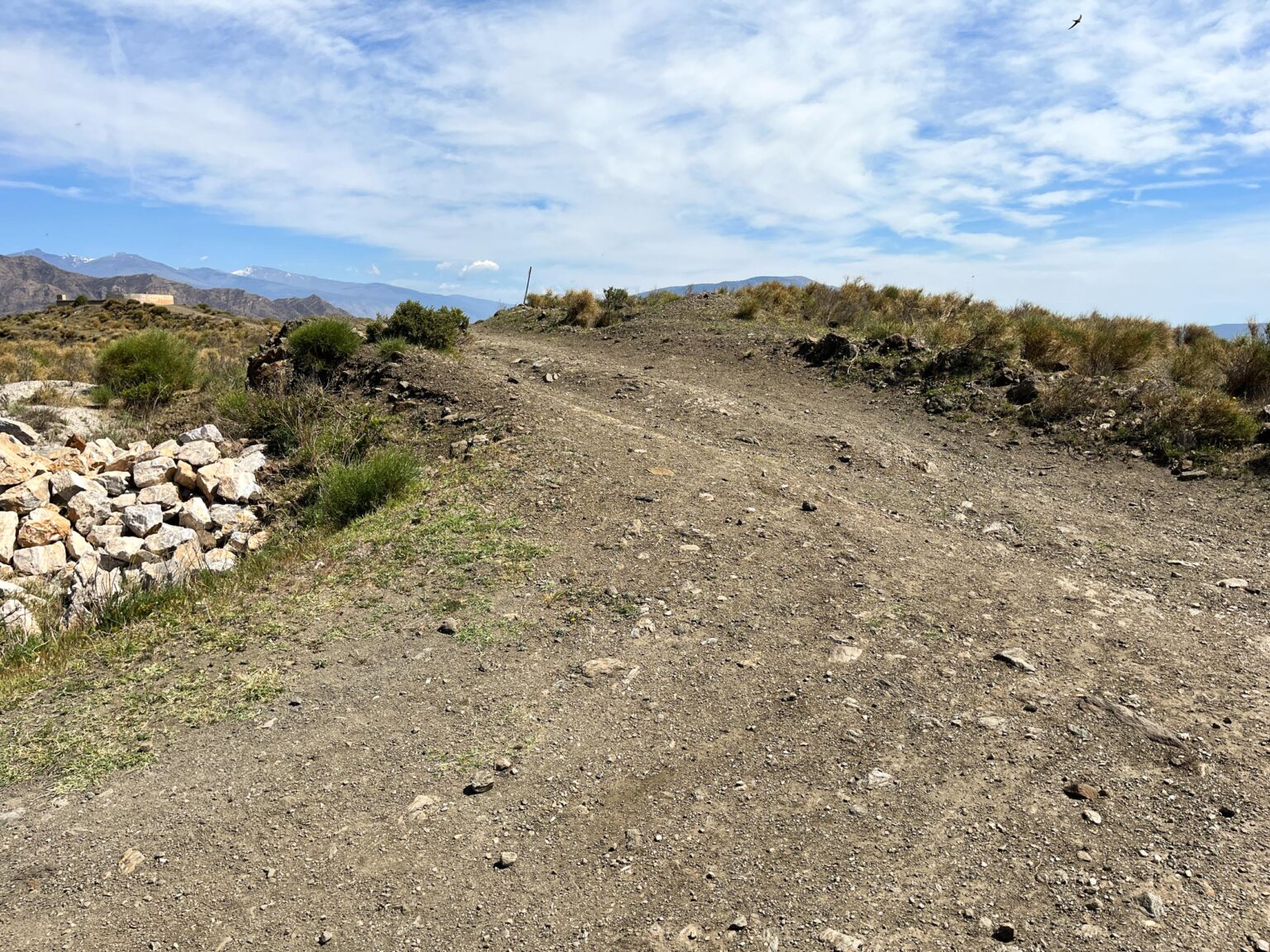 Location 00041