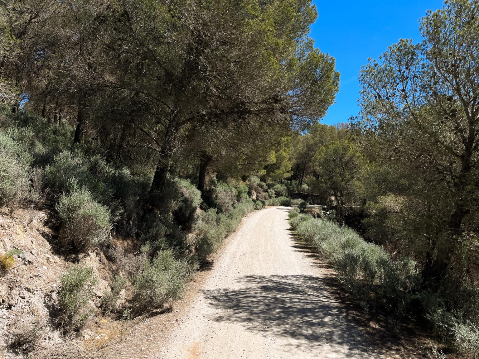 Location 00043