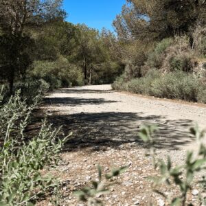 Location 00043