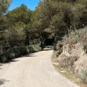 Location 00043
