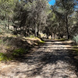 Location 00043