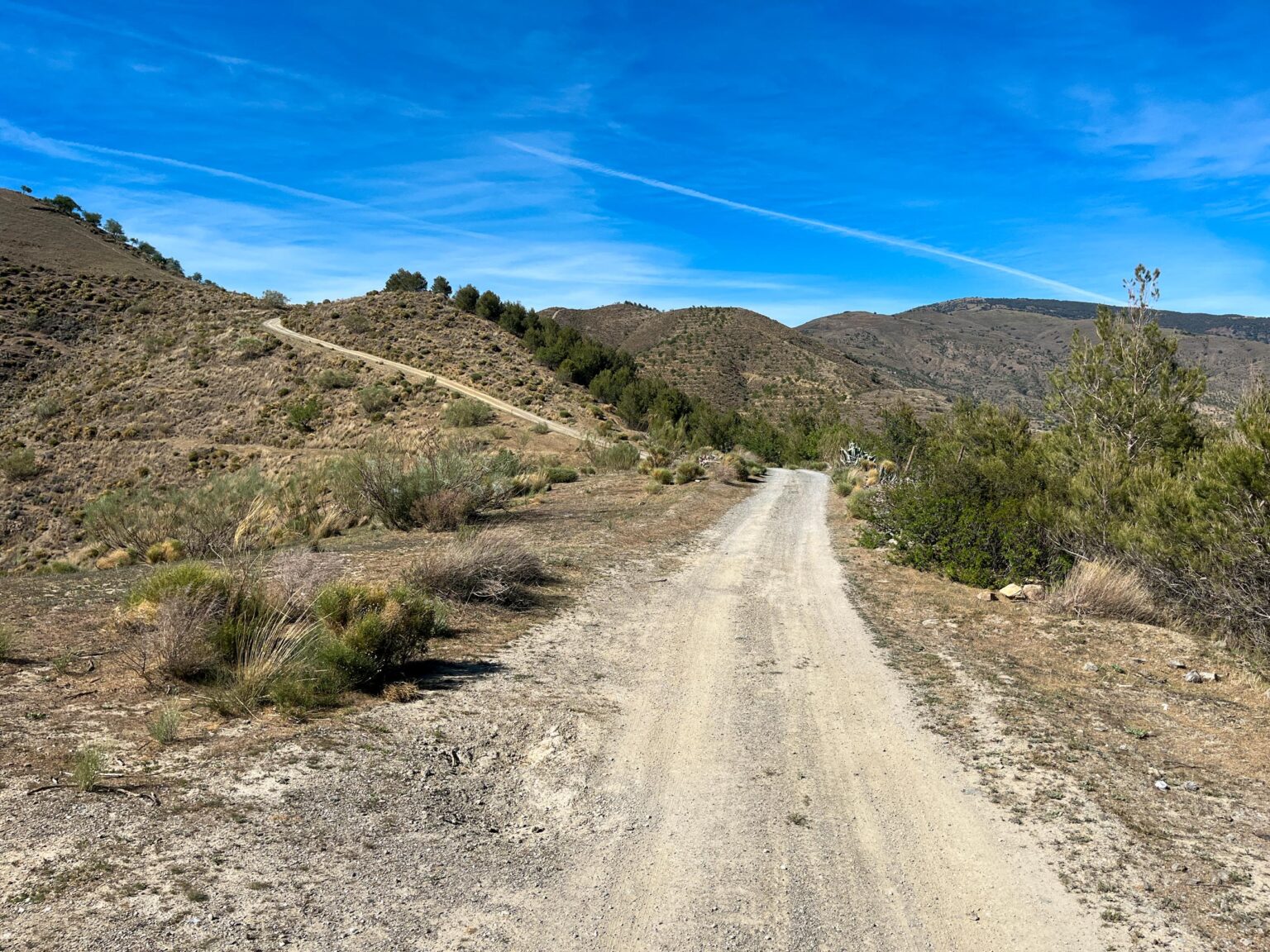 Location 00044