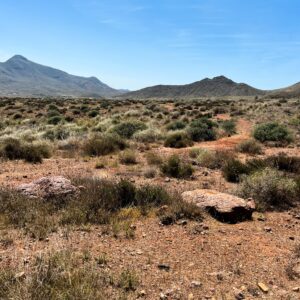 Location 00050
