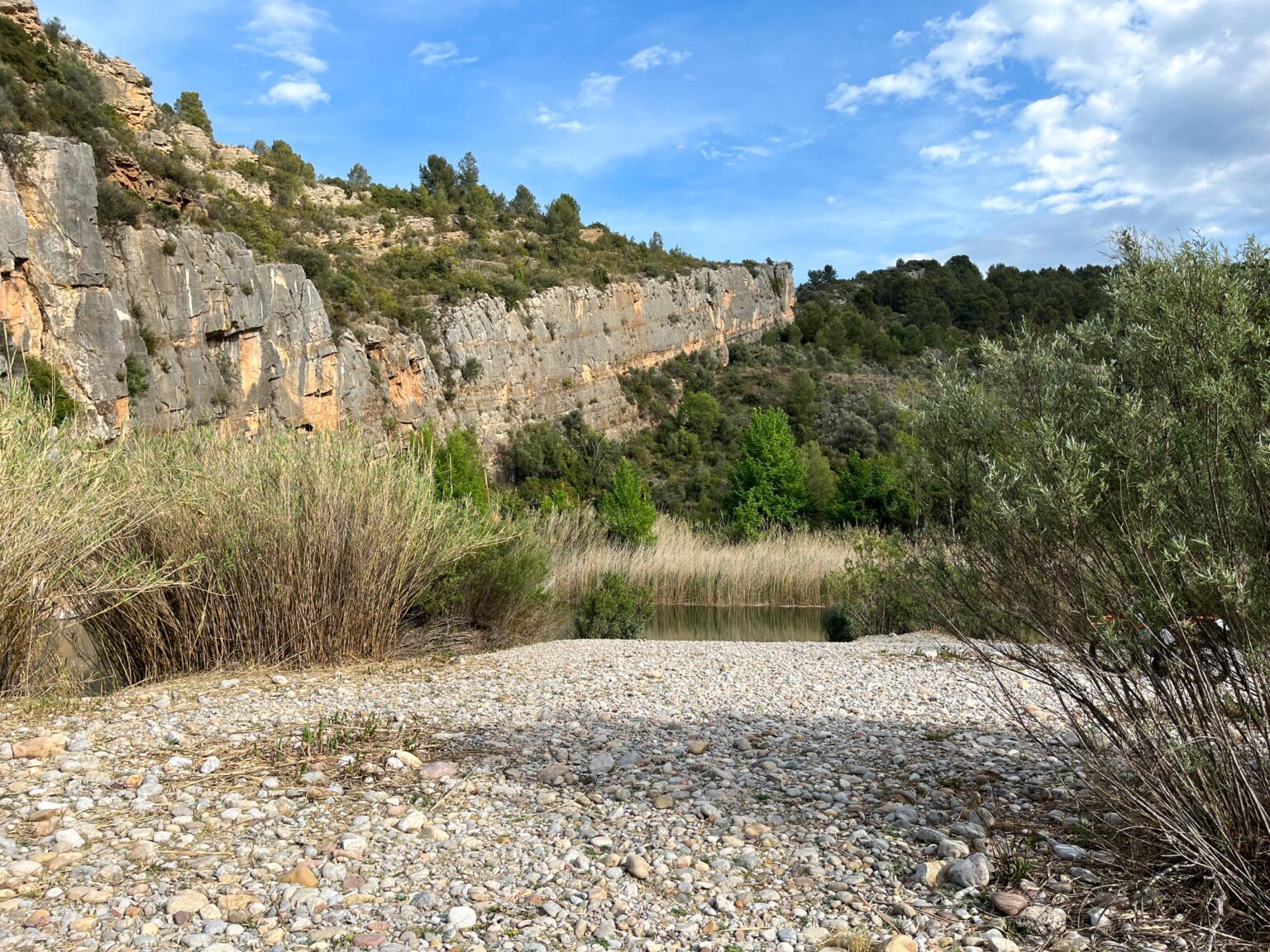 Location 00064