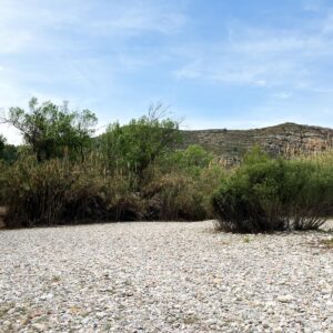 Location 00064