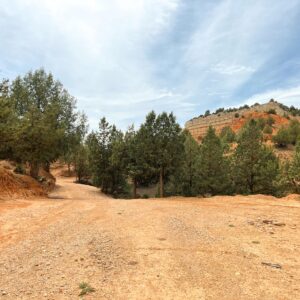 Location 00065