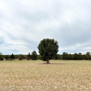 Location 00073