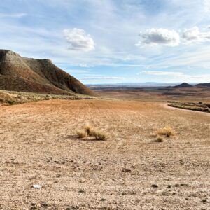 Location 00081