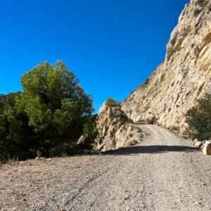 Location 00088