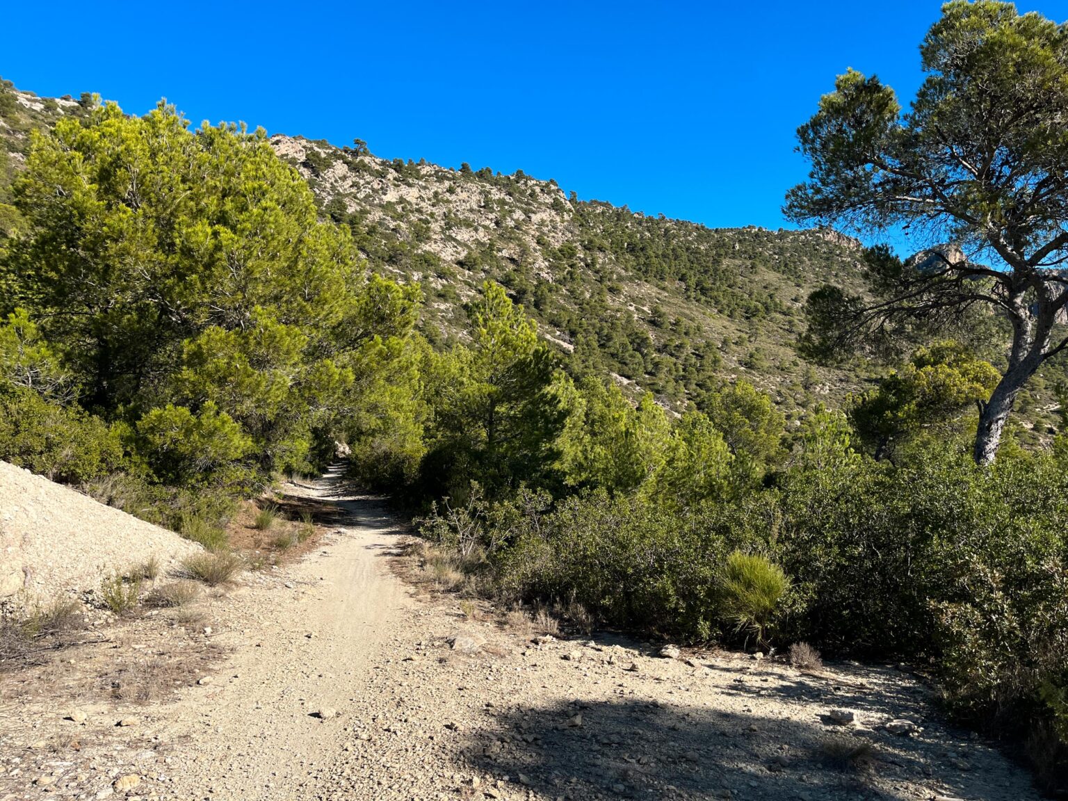Location 00089
