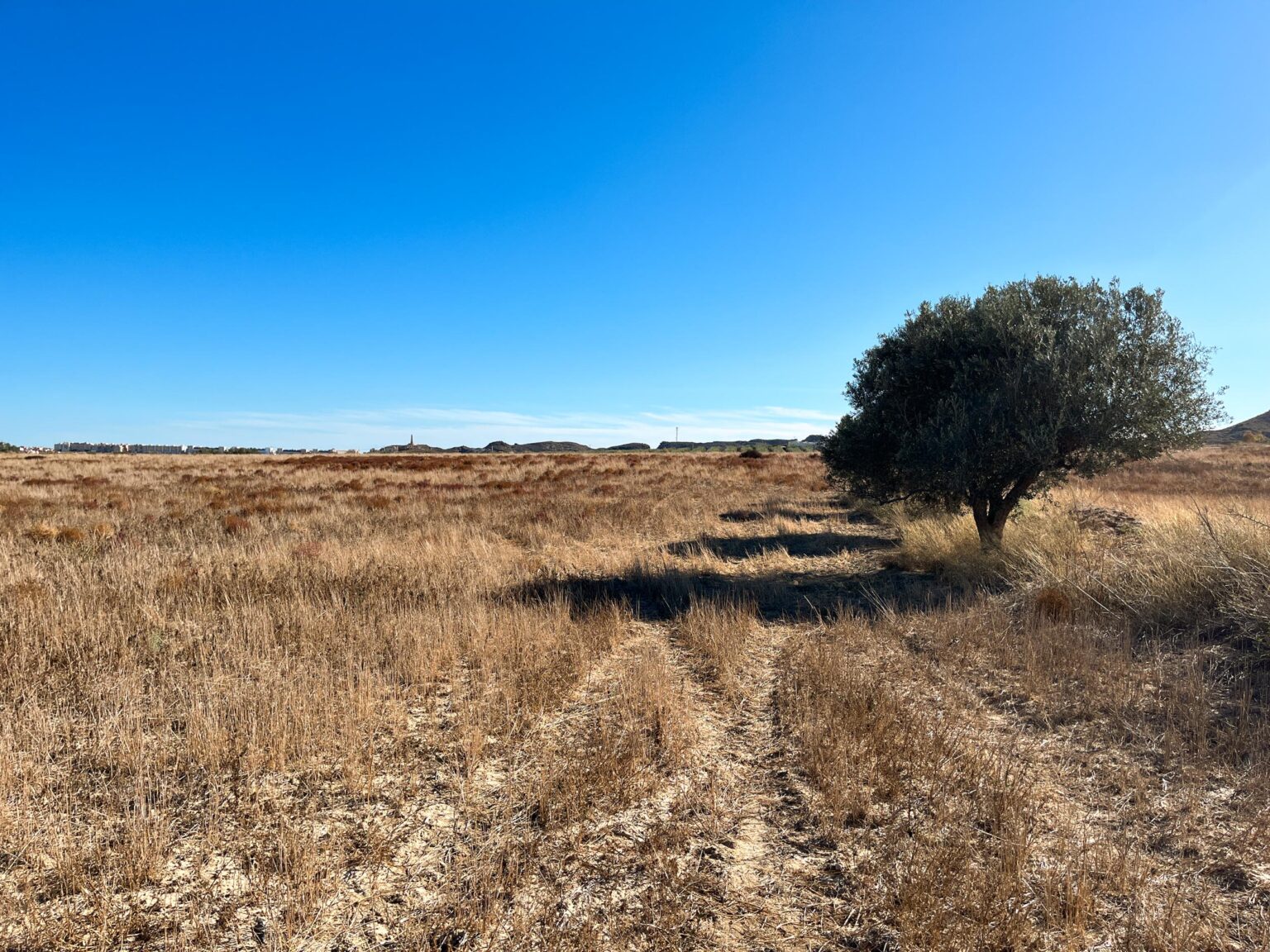 Location 00091