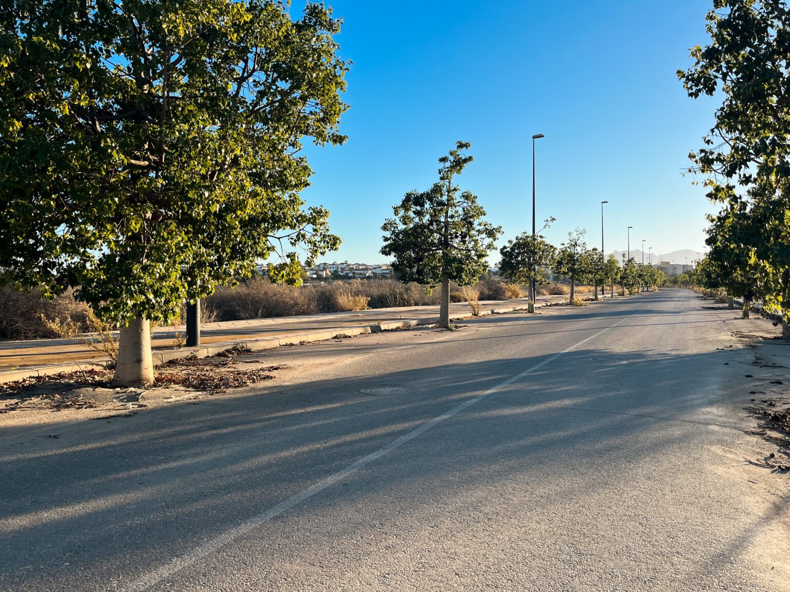 Location 00095