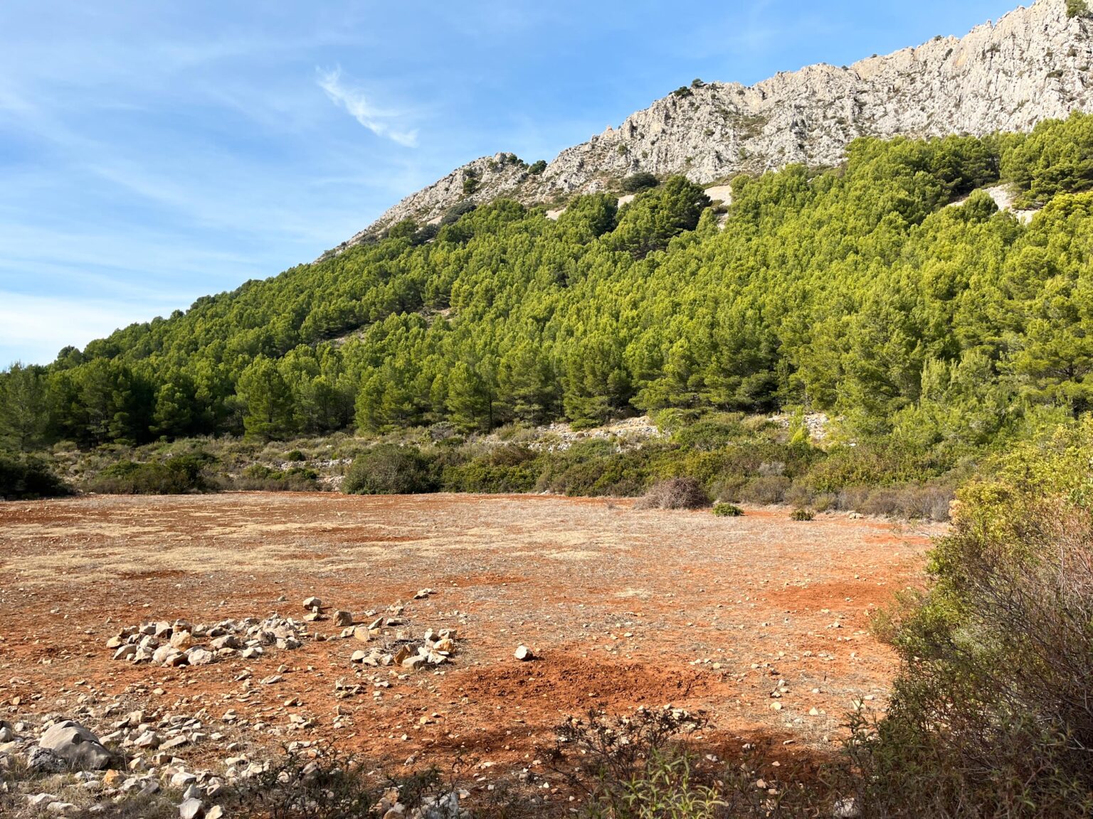 Location 00099