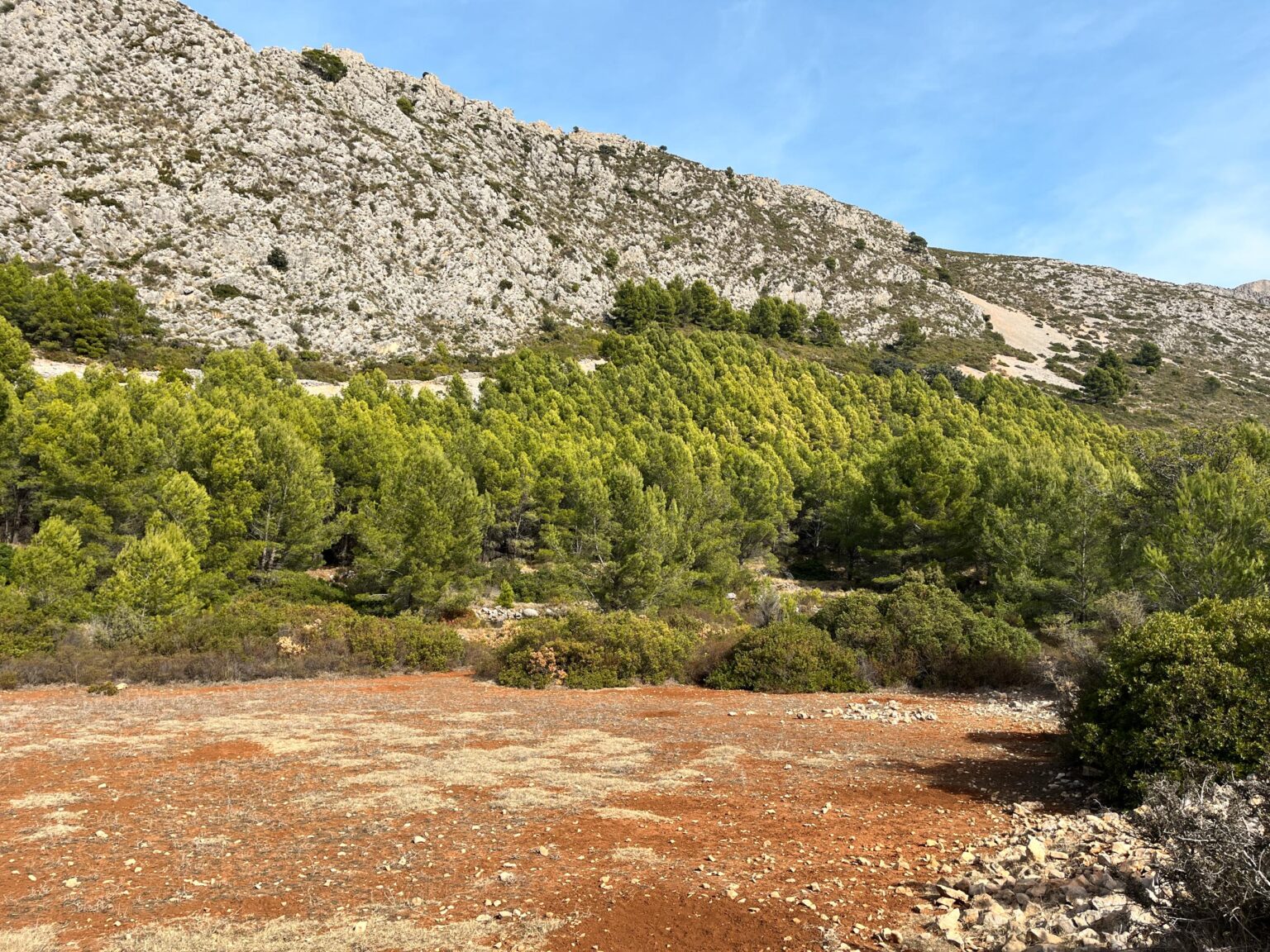 Location 00099