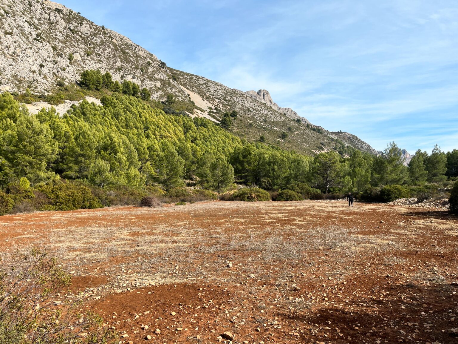 Location 00099