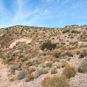 Location 00100