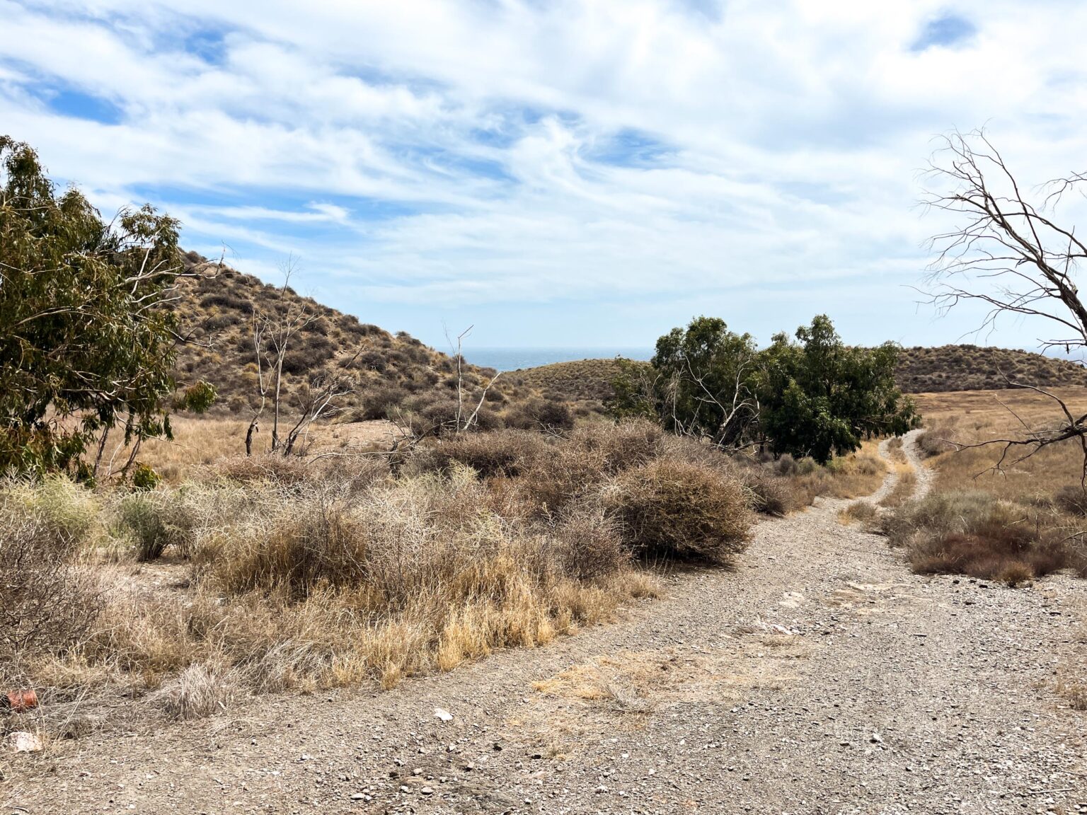 Location 00105