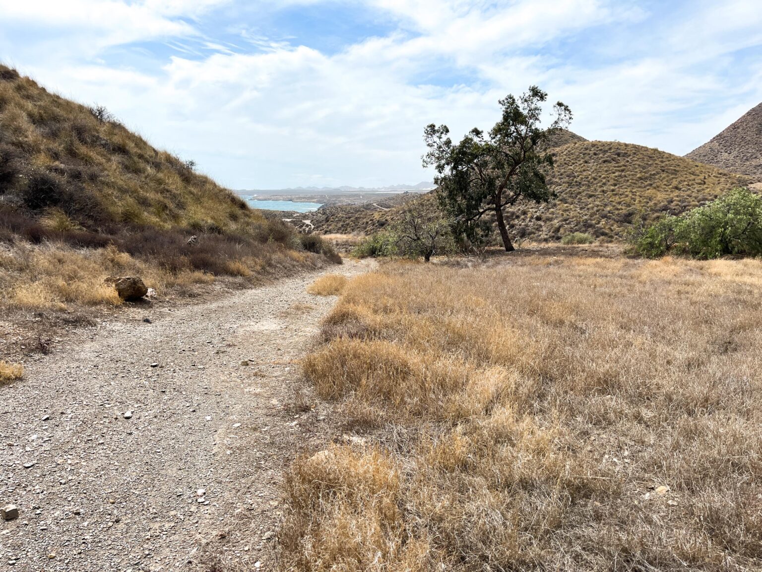 Location 00105