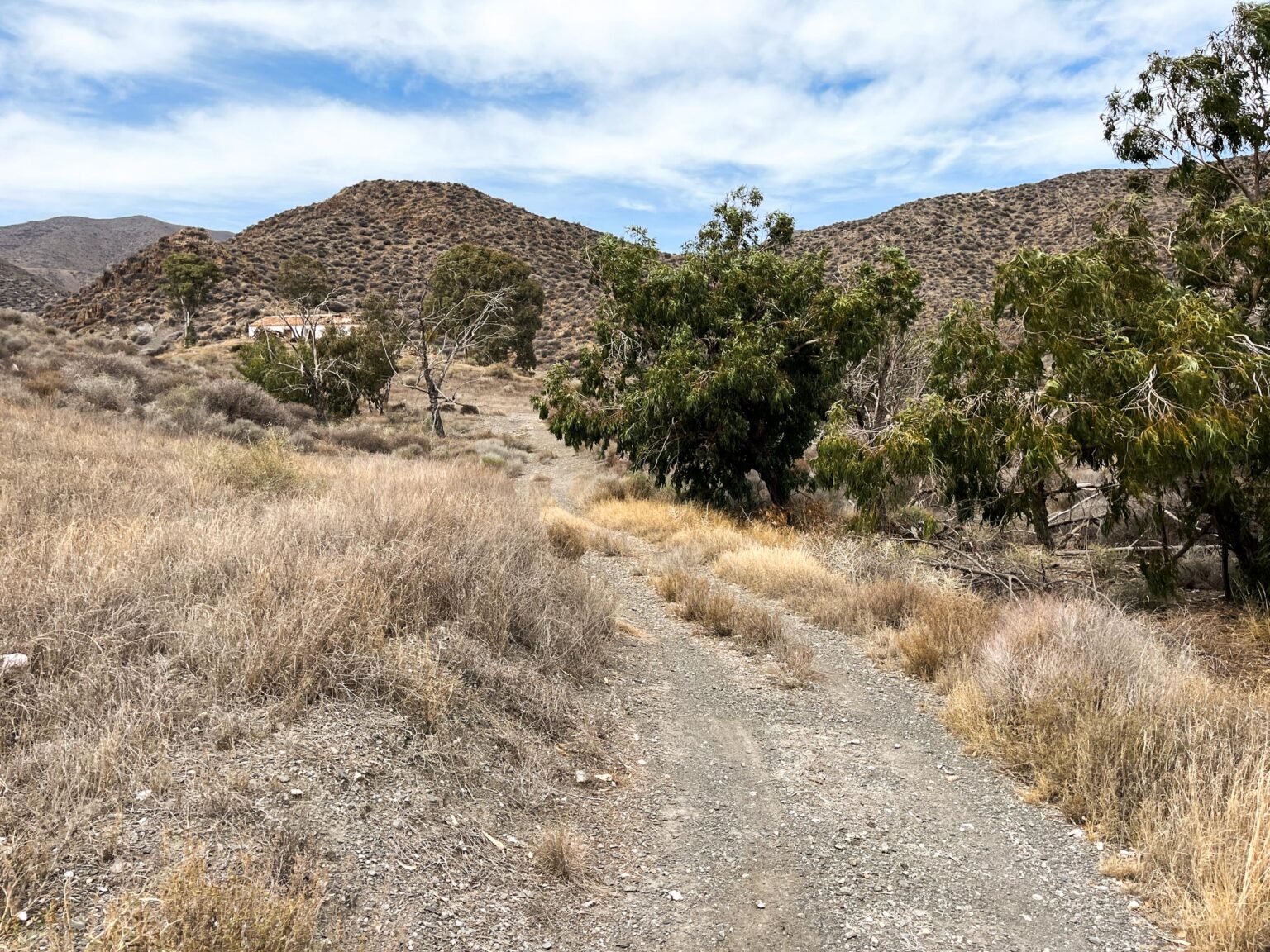 Location 00105