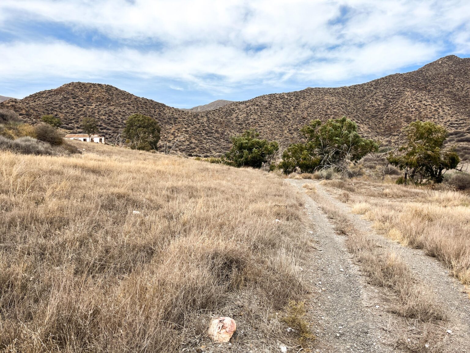 Location 00105