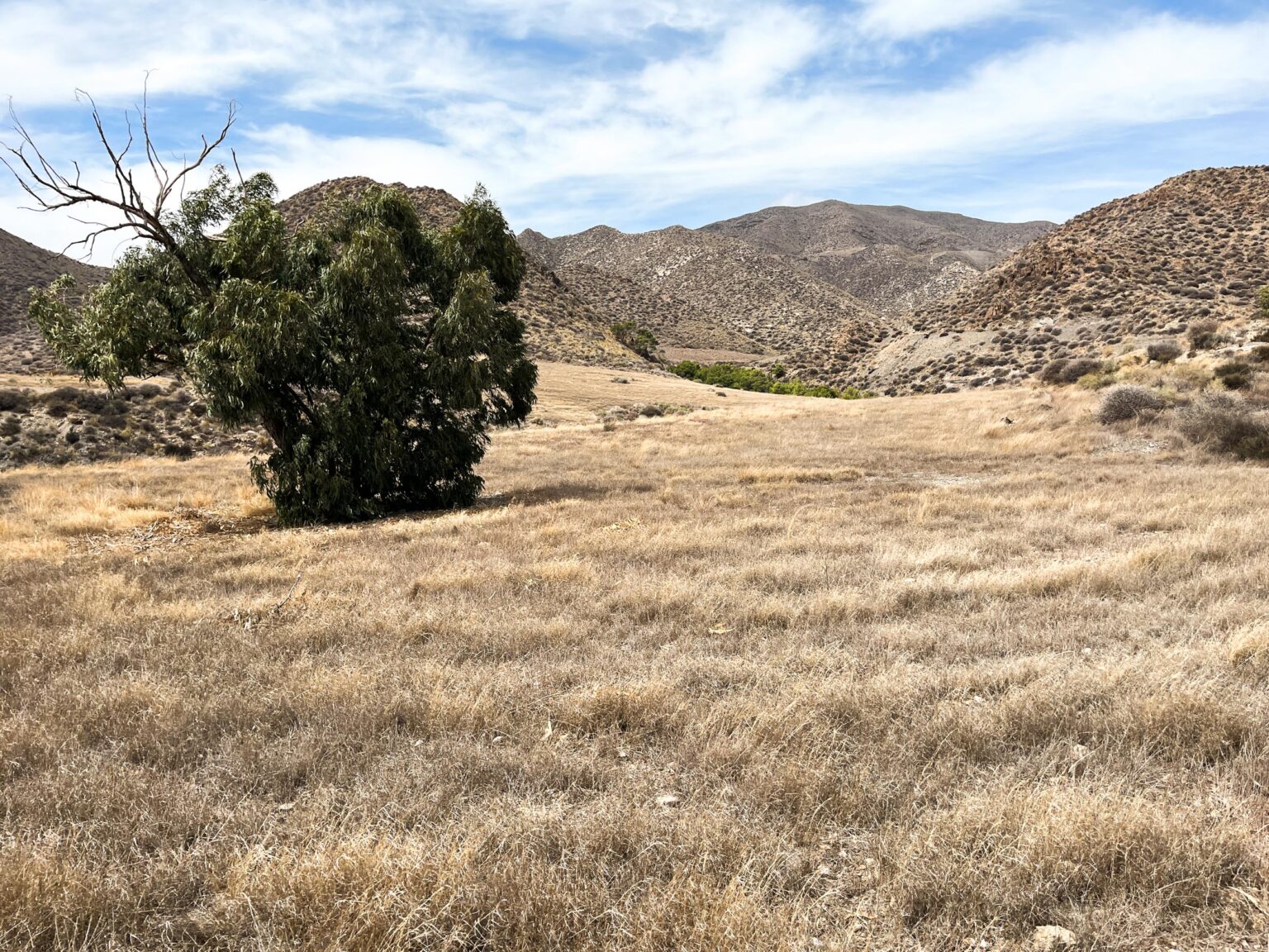Location 00105