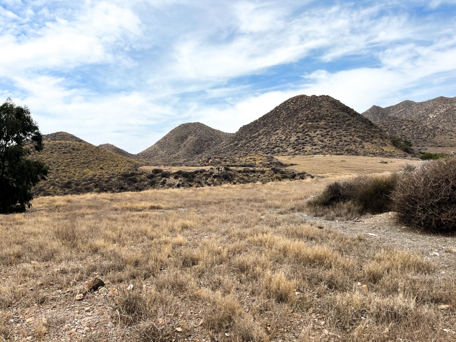 Location 00105